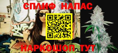 ешки Будённовск