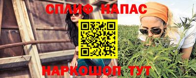 ешки Будённовск